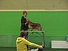 IMG_9975.JPG