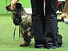 IMG_9980.JPG
