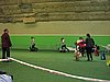IMG_9981.JPG