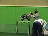 IMG_9991.JPG