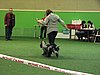 IMG_99962.JPG