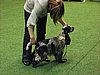 IMG_99964.JPG