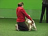 IMG_99965.JPG