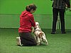 IMG_99966.JPG
