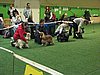 IMG_999671.JPG