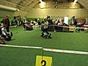 IMG_999672.JPG