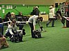 IMG_999673.JPG