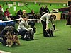 IMG_999674.JPG