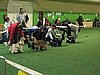 IMG_99970.JPG