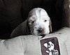 IMG_7389.JPG