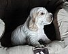 IMG_7393.JPG