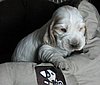 IMG_7395.JPG