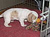 IMG_7400.JPG