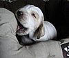 IMG_7404.JPG