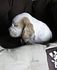 IMG_7406.JPG
