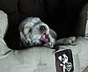 IMG_7408.JPG