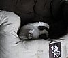 IMG_7410.JPG