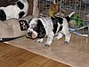 IMG_7471.JPG