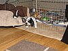 IMG_7472.JPG
