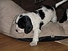 IMG_7473.JPG