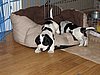 IMG_7474.JPG