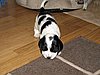 IMG_7475.JPG