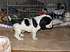 IMG_7477.JPG