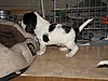 IMG_7478.JPG
