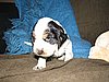 IMG_7488.JPG