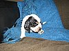IMG_7492.JPG