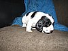 IMG_7504.JPG