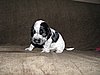 IMG_7510.JPG