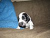 IMG_7513.JPG