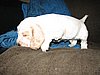 IMG_7551.JPG