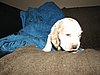 IMG_7552.JPG