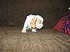 IMG_7565.JPG