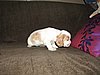 IMG_7566.JPG