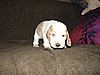 IMG_7571.JPG