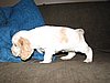 IMG_7572.JPG