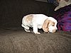 IMG_7573.JPG