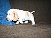 IMG_7575.JPG