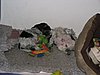 IMG_7768.JPG