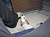 IMG_7770.JPG