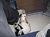 IMG_7771.JPG