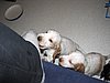 IMG_7773.JPG