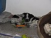 IMG_7775.JPG