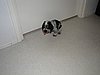 IMG_7777.JPG