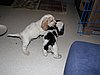 IMG_7789.JPG