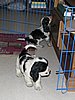 IMG_7796.JPG