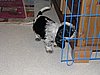 IMG_7797.JPG
